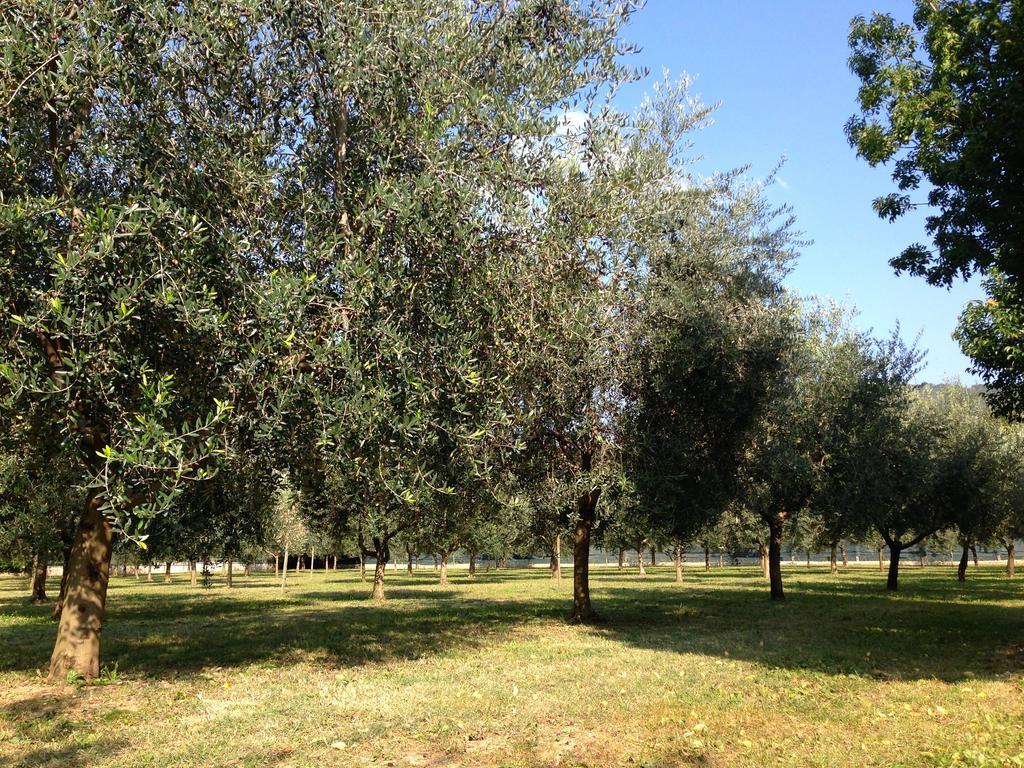 Agriturismo Corte Moranda Verona Bagian luar foto